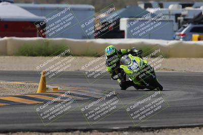 media/Mar-12-2023-SoCal Trackdays (Sun) [[d4c8249724]]/Turn 2 (1130am)/